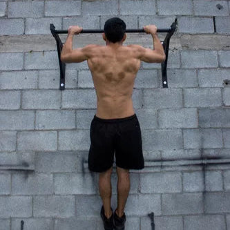 barra-dominadas-calistenia-fija